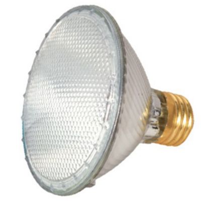 60W 120V PAR30 E26 Halogen WFL Bulb by SATCO Lighting - Starlight Lighting USA and Canada